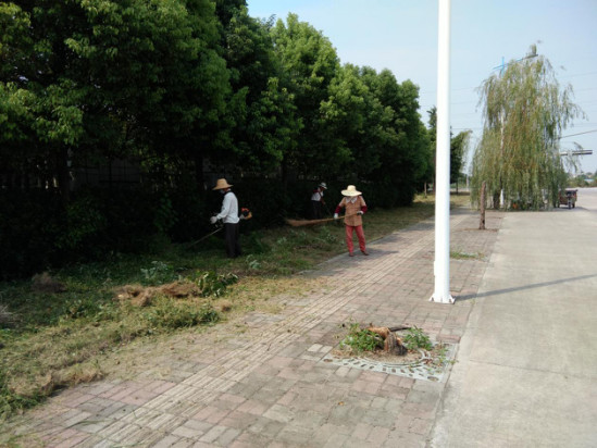 图片1_副本.jpg